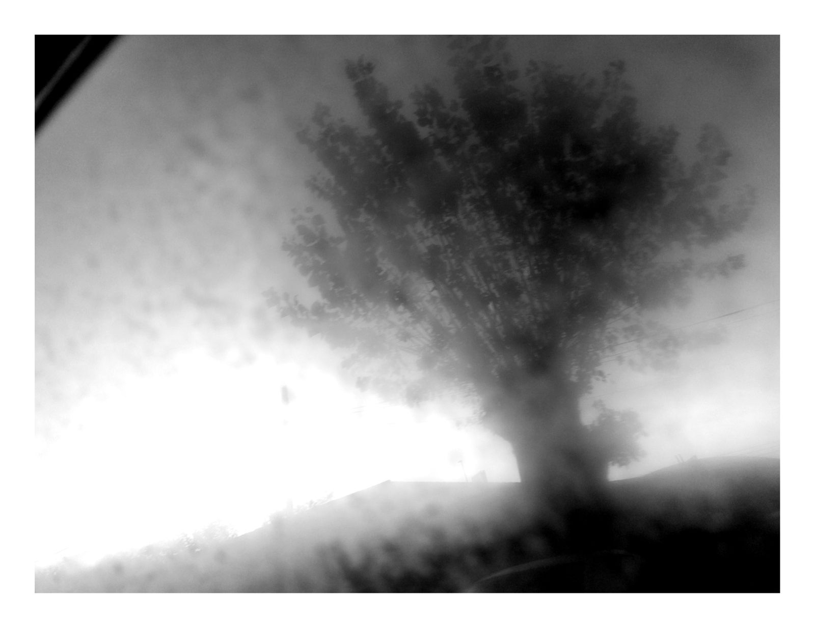 Fotografía de Francisco Guerrero