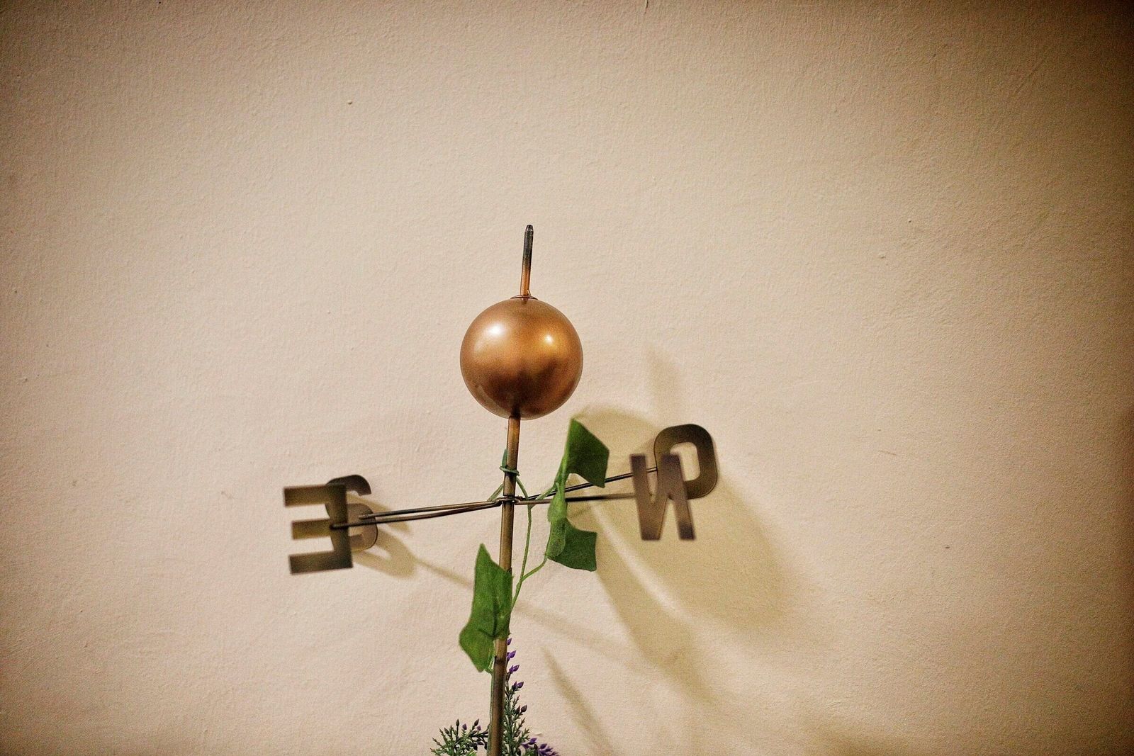 Comparsa 'Los poquito a poco' en camerinos