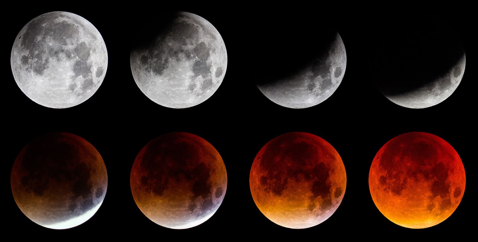 Distintos tipos de eclipse lunar.