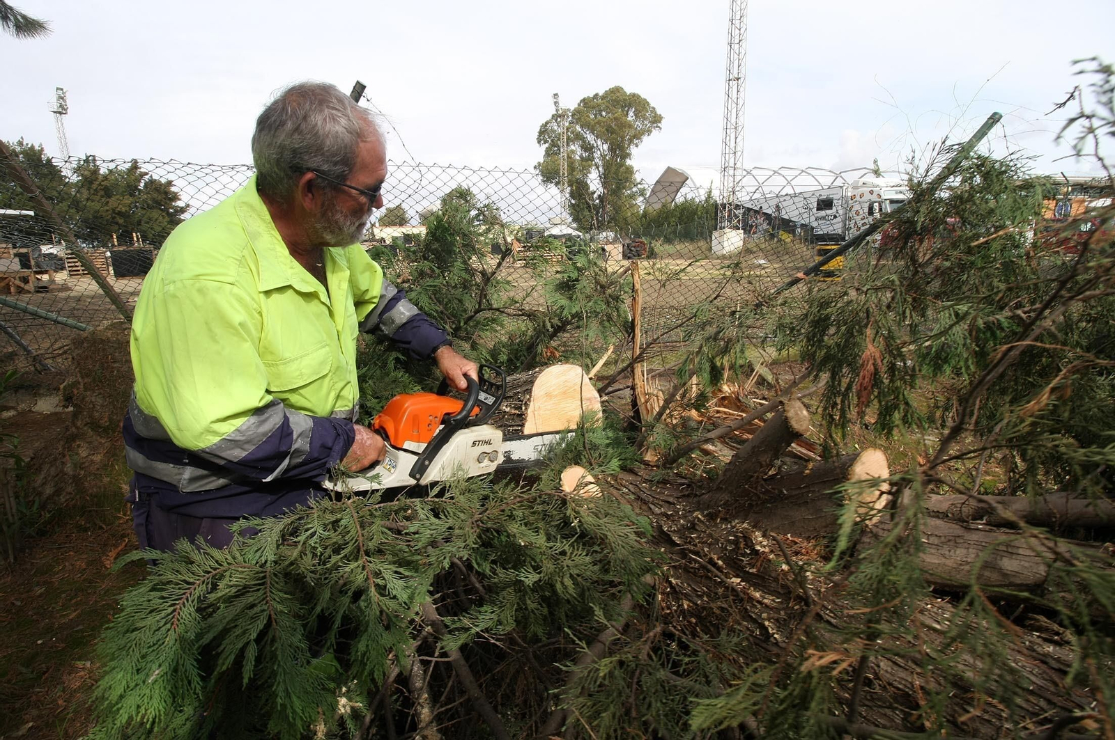 Un operario sierra el tronco de un árbol caído.