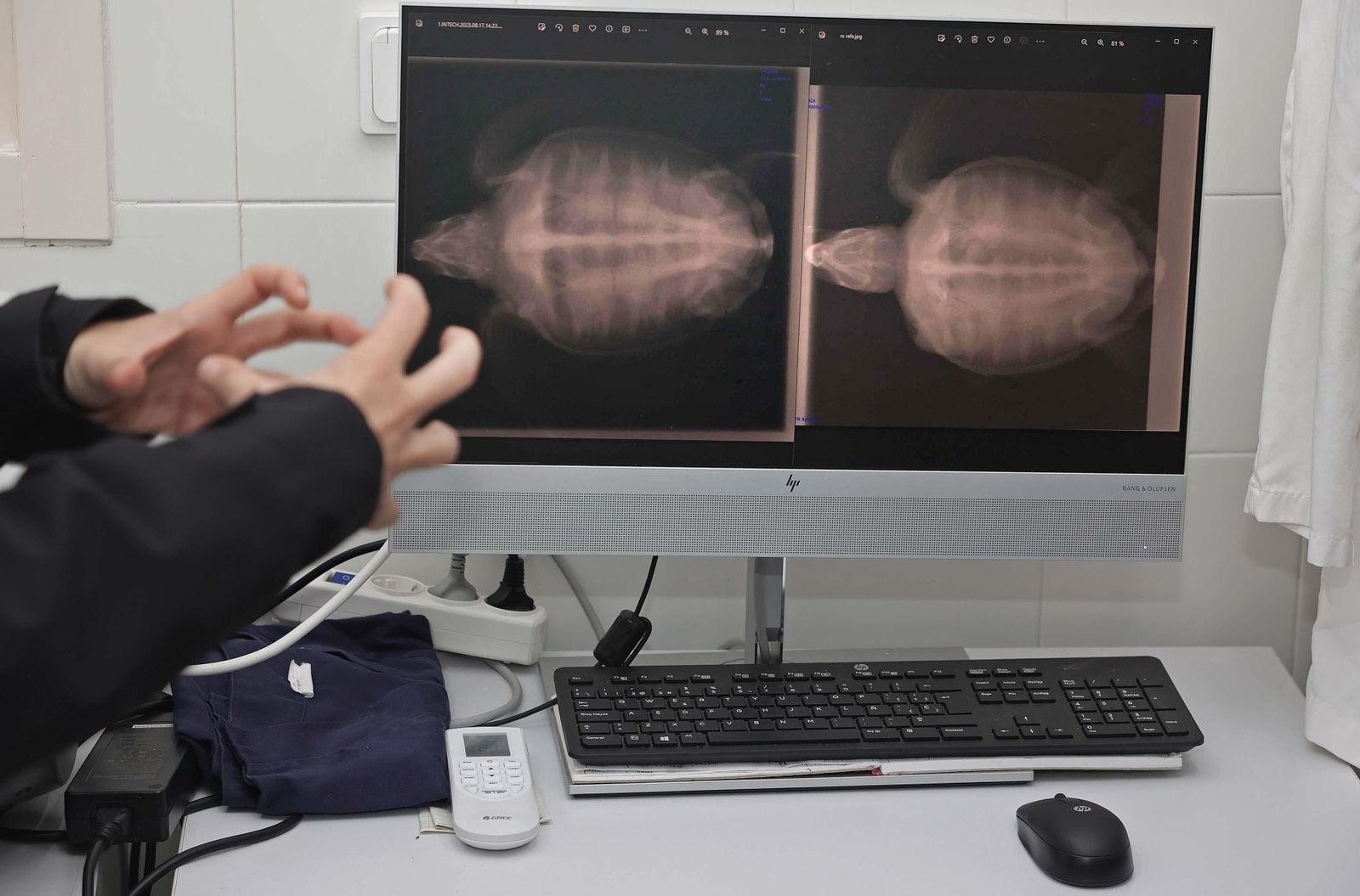 El Centro de Gestión del Medio Marino Andaluz (CEGMA) de Algeciras, en imágenes