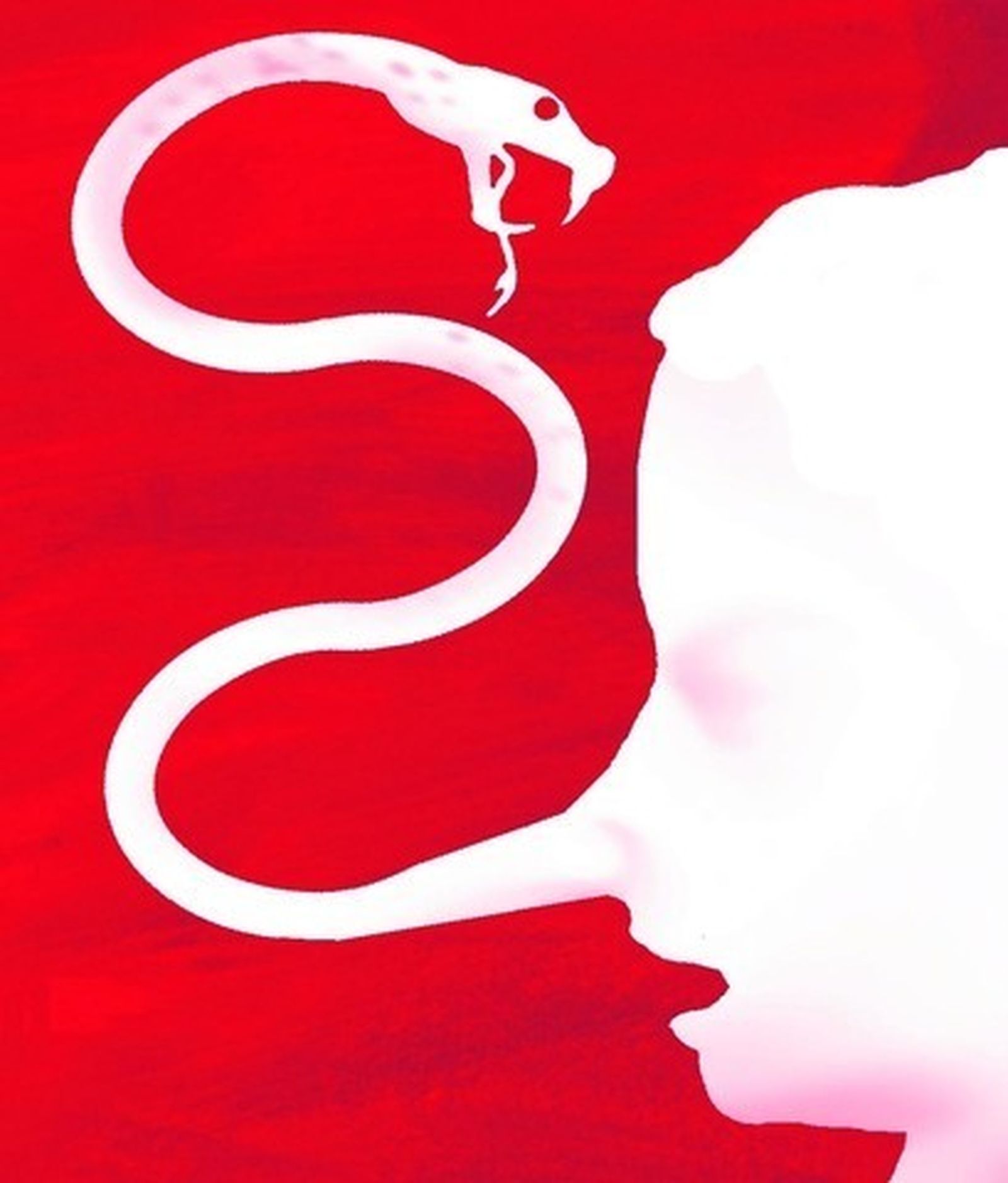 Los obstáculos a la verdad