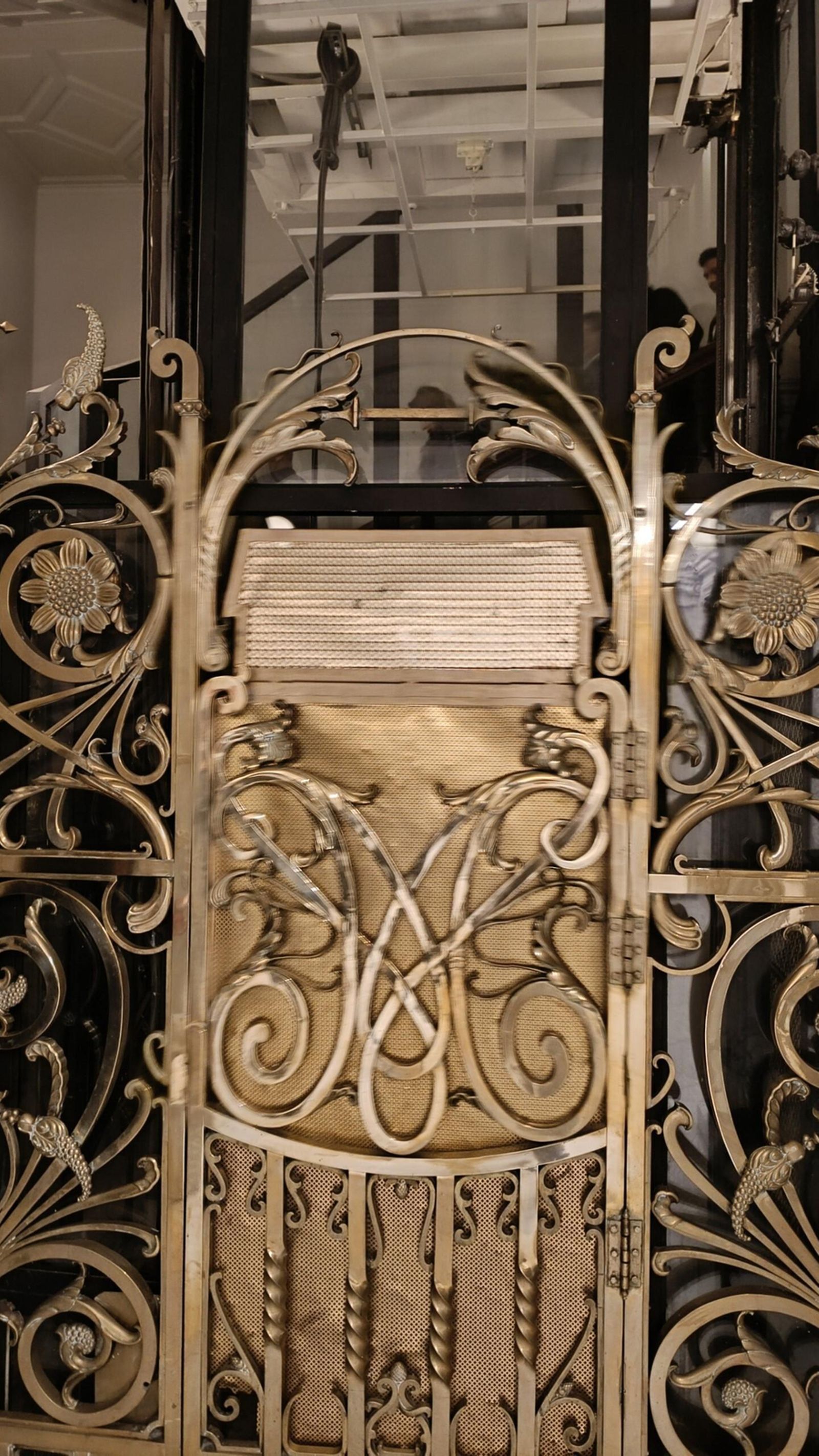 El elengantísimo ascensor del antiguo palacete.