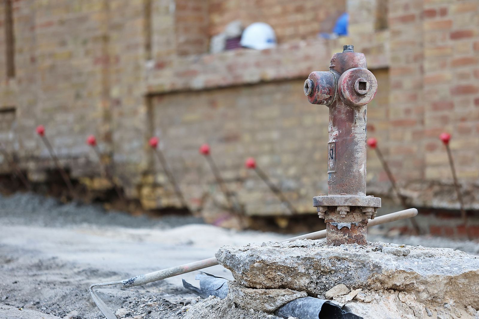 Las imágenes más destacadas del lunes 29 de enero en Huelva