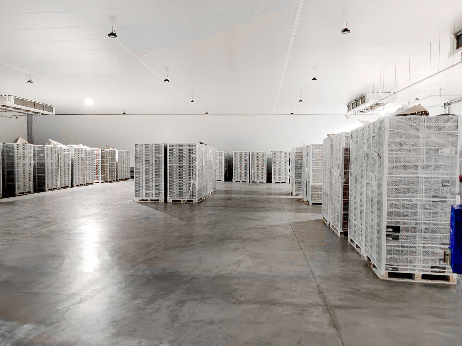 Uno de los almacenes de SAM Algeciras.