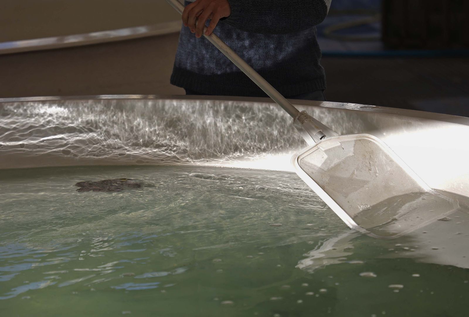 El Centro de Gestión del Medio Marino Andaluz (CEGMA) de Algeciras, en imágenes