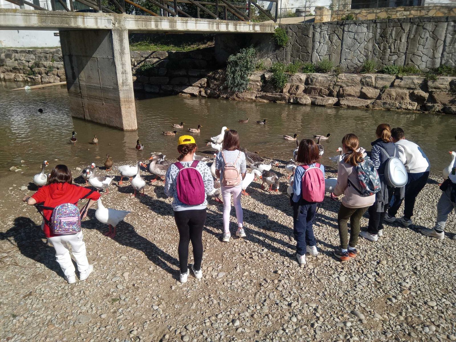 Alumnos del colegio Tierno Galván de Cádiz durante su visita al río Guadalete.