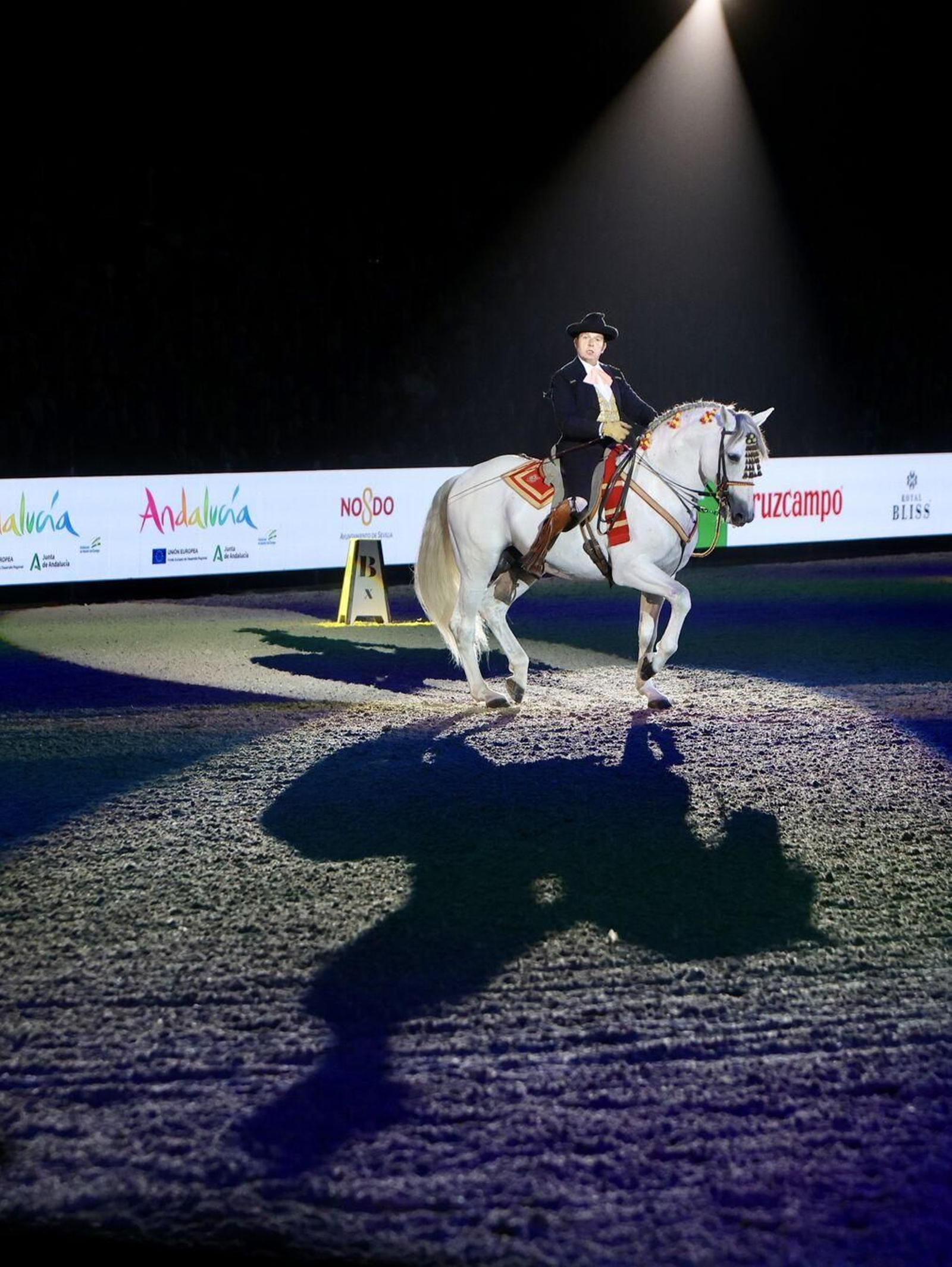Prueba galerías SICAB