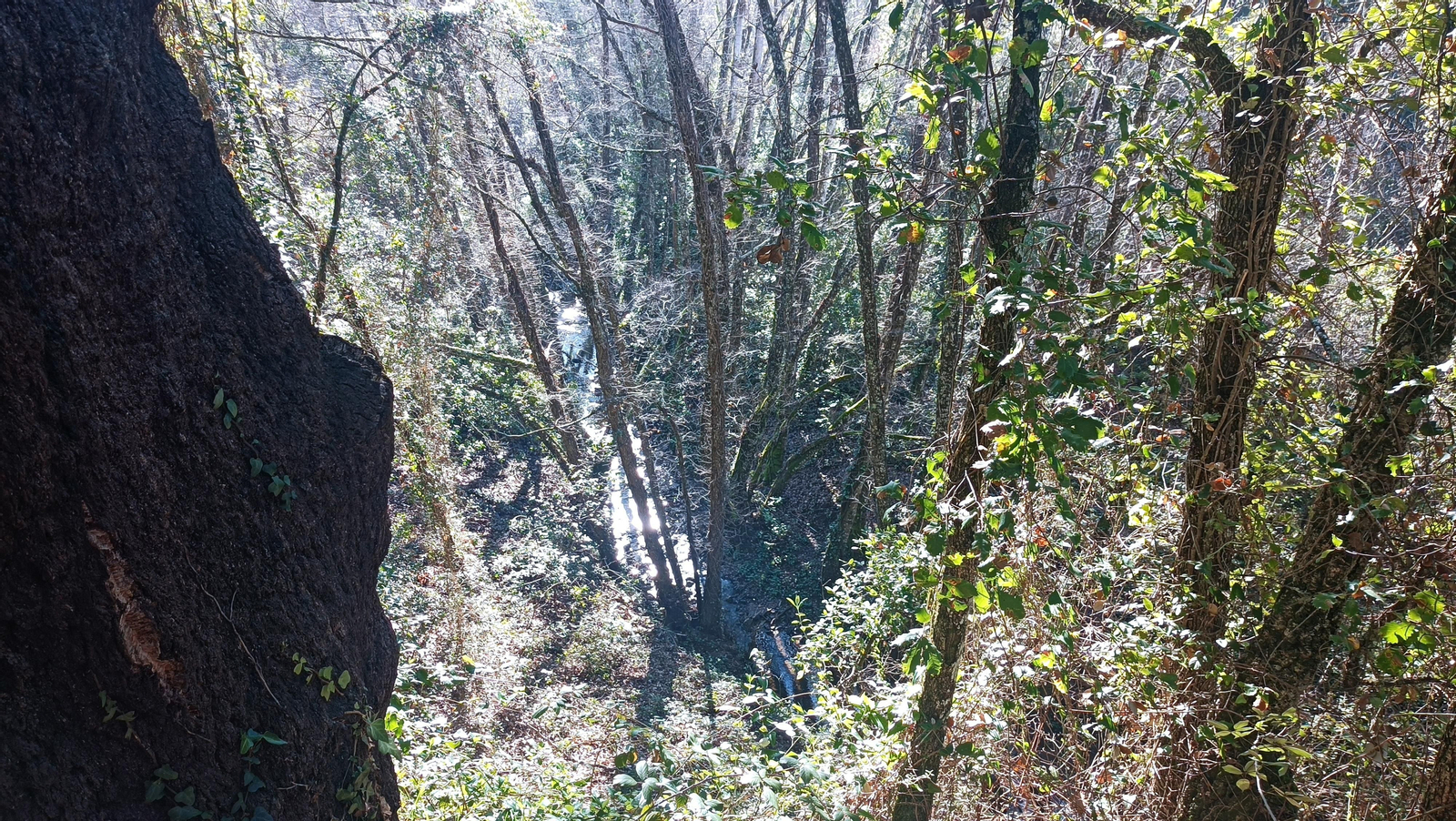 A la vuelta, el paisaje cambiará notablemente por el cambio de luz.