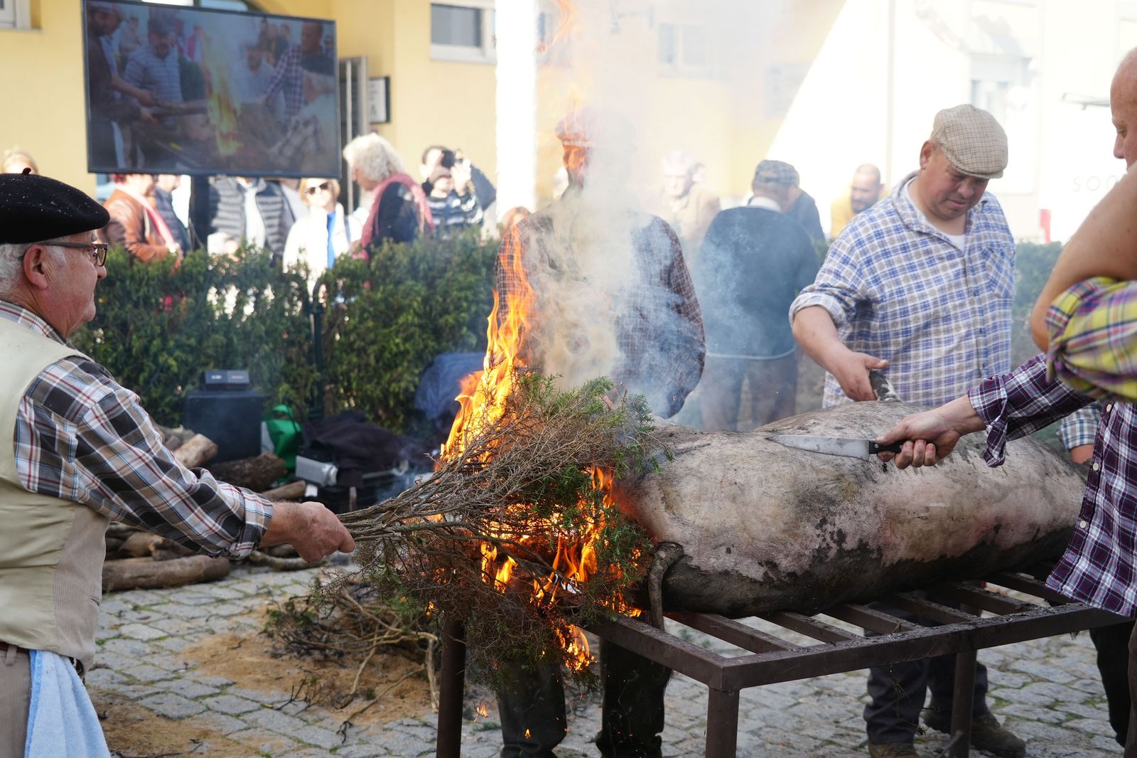 Alcaracejos celebra su Fiesta de la Matanza, en imágenes