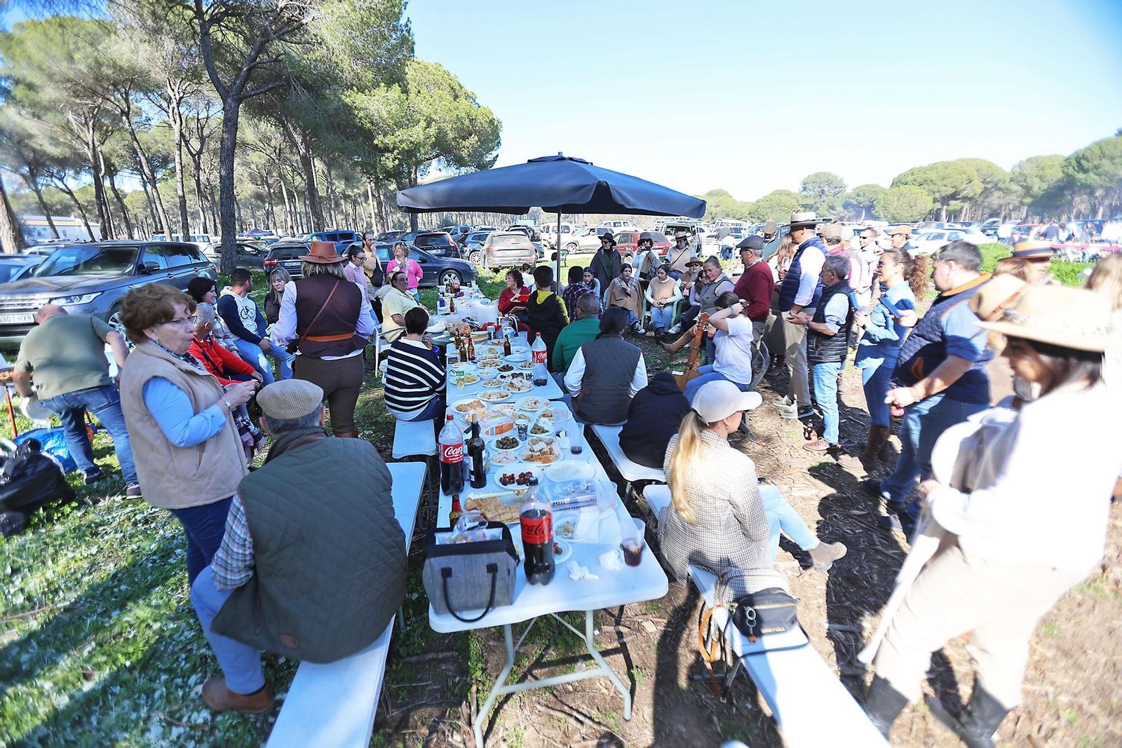 Candelaria 2024: Imágenes de la multitudinaria convivencia en el Pastorcito