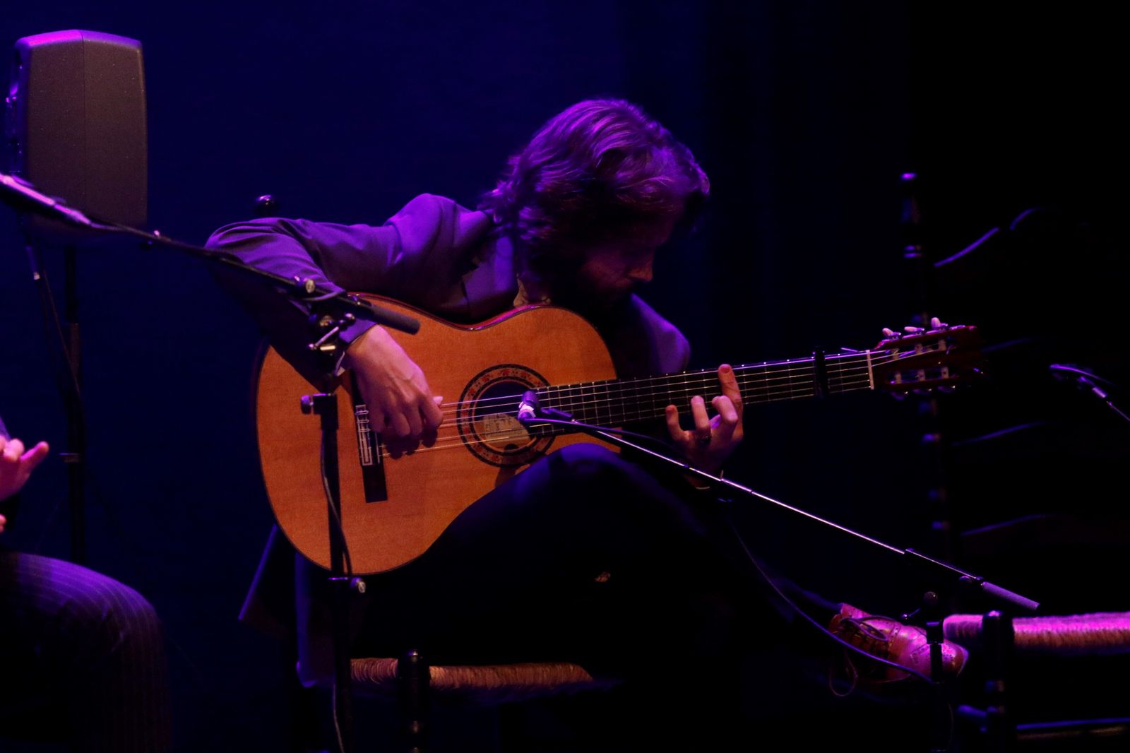 El homenaje del mundo del flamenco a El Calli, en imágenes