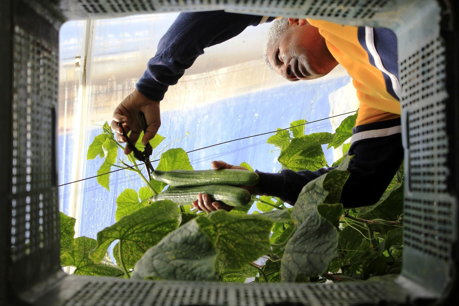 Una de las fotografías que concurrió al concurso de fotografía 'Andalucía en Cliché' en su pasada edición.