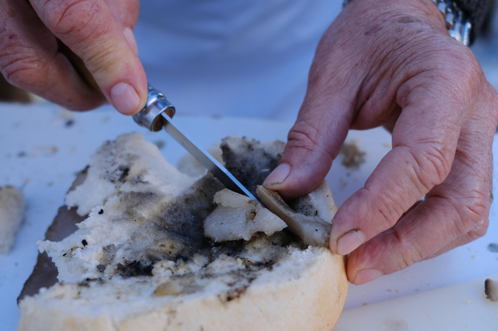 La fiesta de la matanza de Ardales, en fotos.