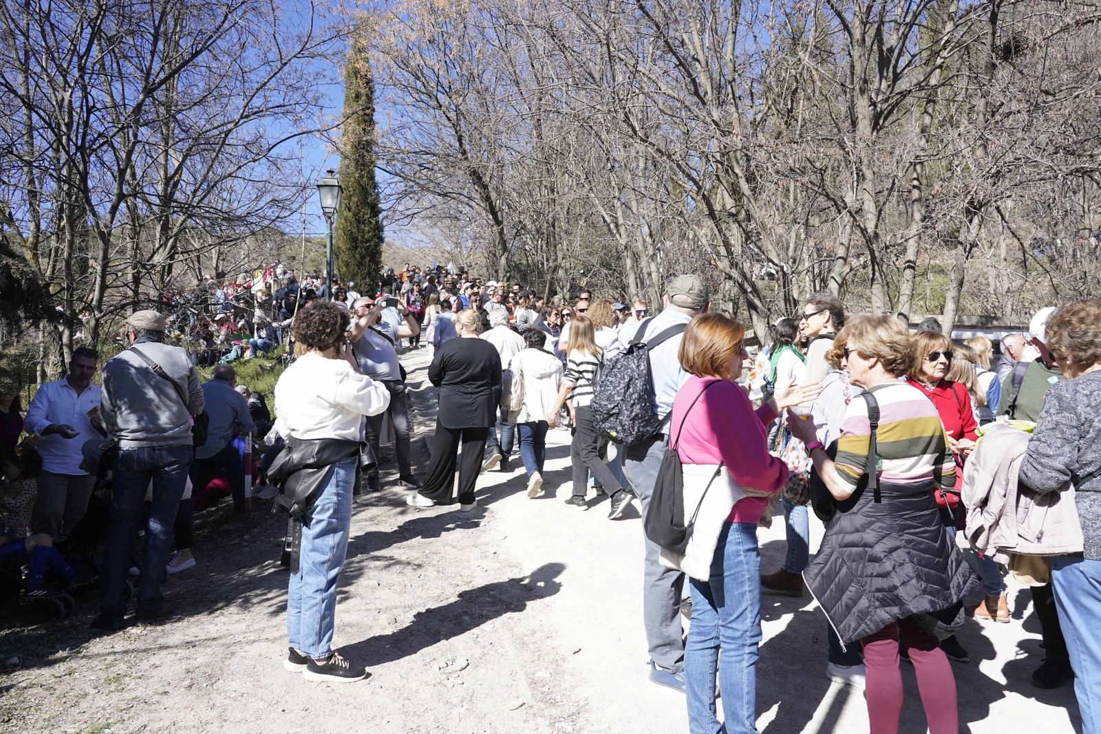 La romería de San Cecilio, en imágenes