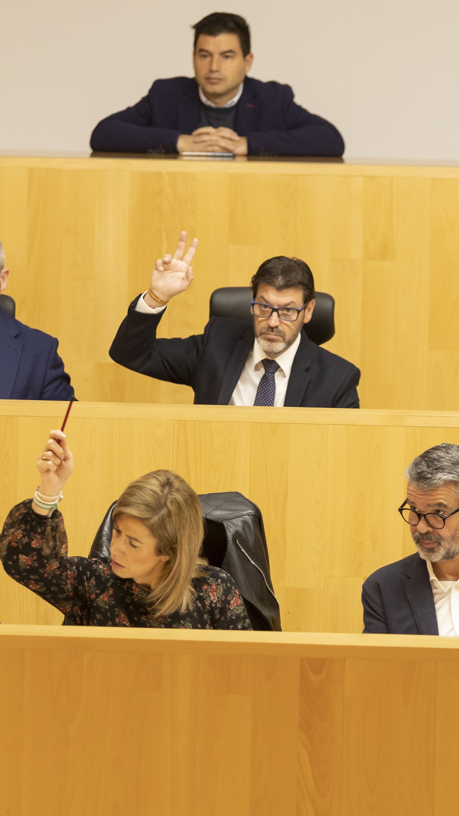 Votación en el pleno de la Diputación de Málaga.