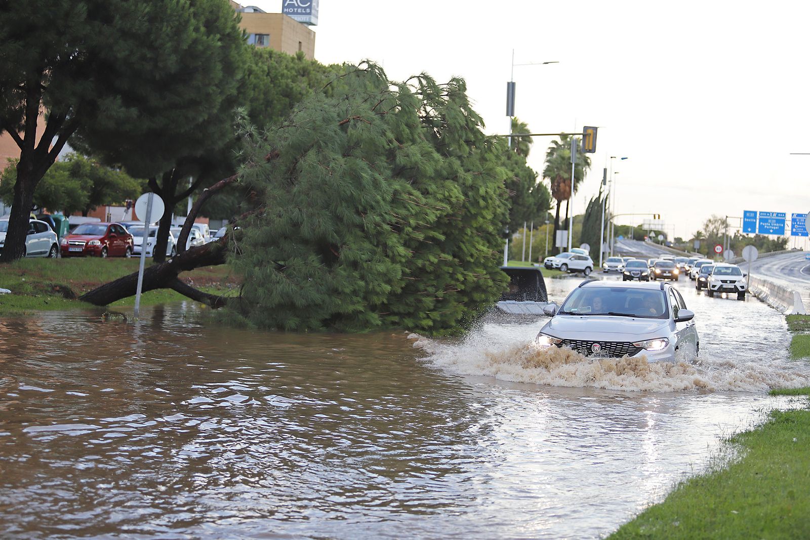 Imágenes de los destrozos ocasionados en Huelva por la Borrasca Bernard