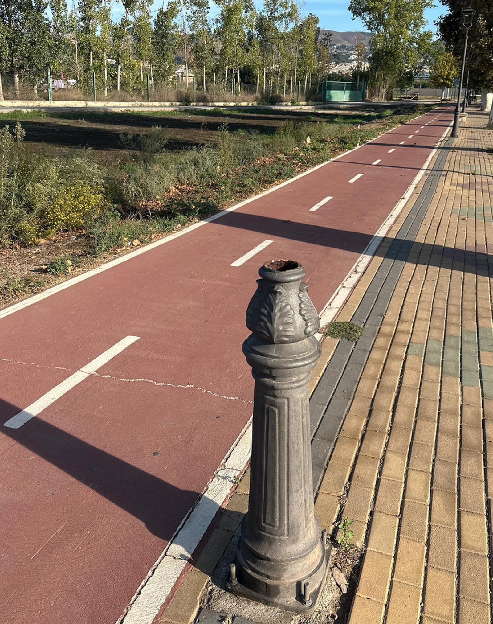 El PSOE de Motril denuncia la situación "deplorable" del paseo de la carretera al Puerto