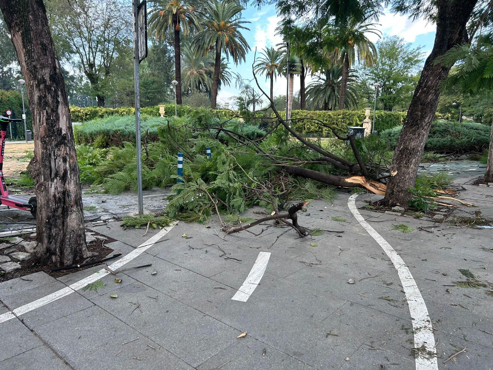 Comunidades de propietarios: los administradores explican cómo reclamar los daños por la borrasca
