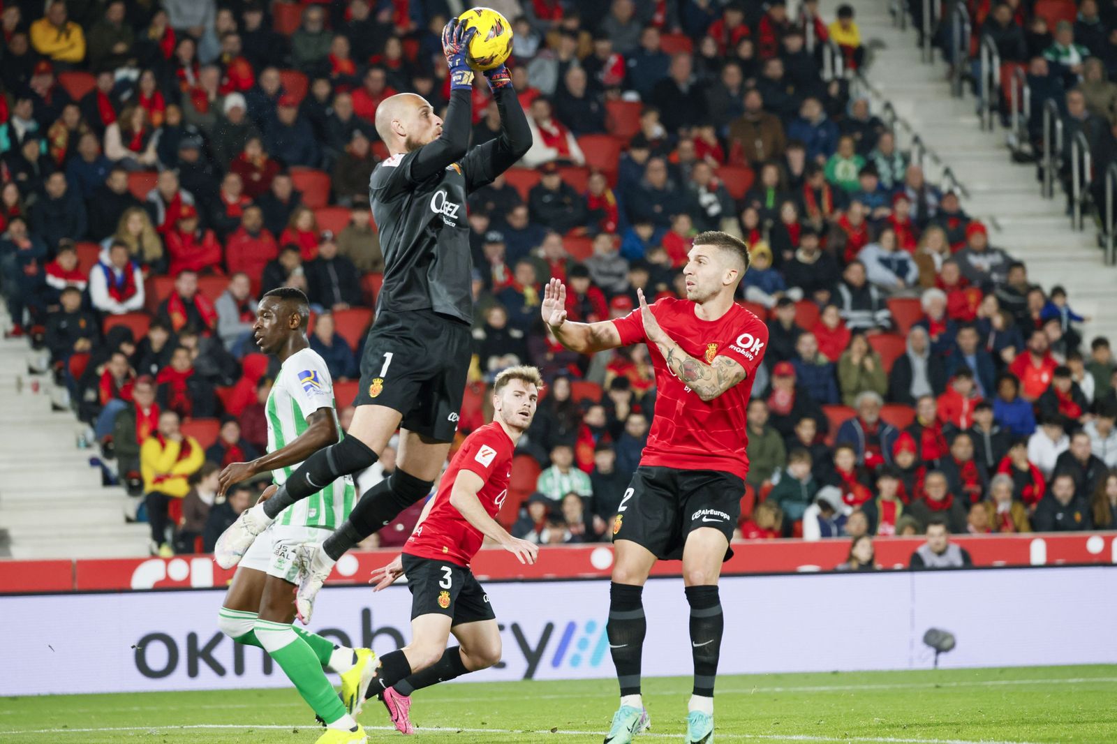 Las mejores fotos del Mallorca - Betis