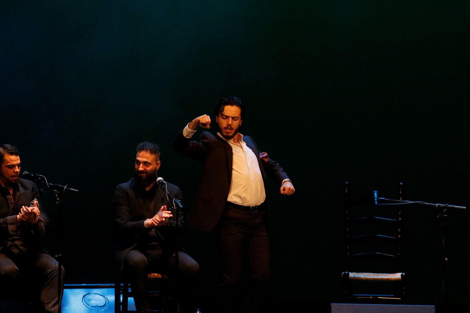 El homenaje del mundo del flamenco a El Calli, en imágenes