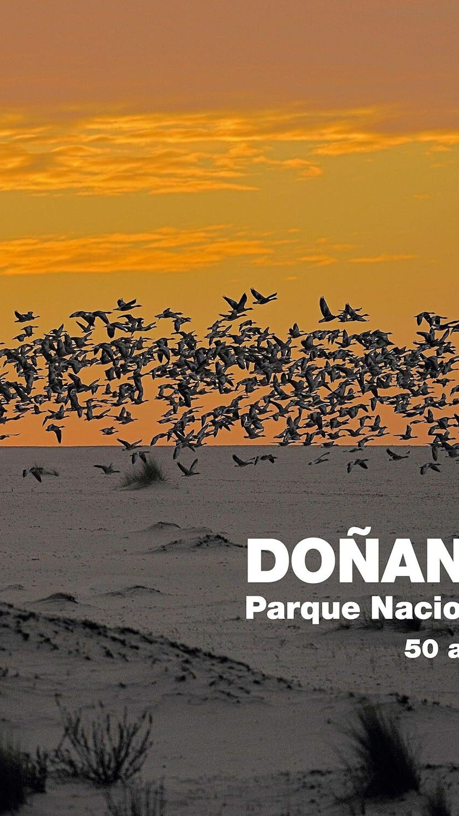 Doñana Parque Nacional. 50 años