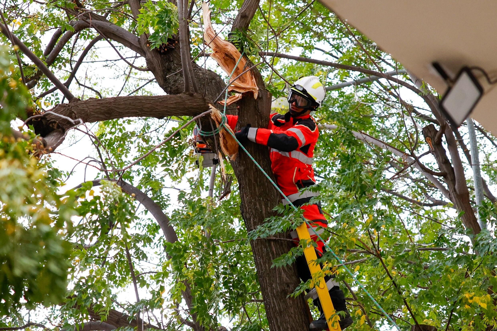 Bomberos actuaron durante toda la tarde.