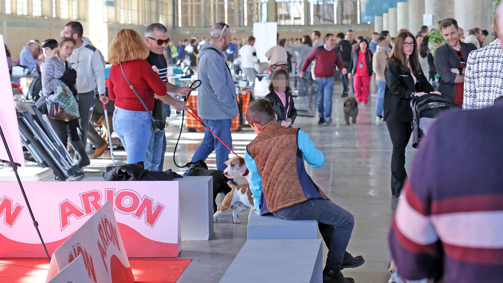 Imágenes de la 49ª edición de la Exposición Nacional Canina y la 25ª edición de la Exposición Internacional Canina en IFECA Jerez