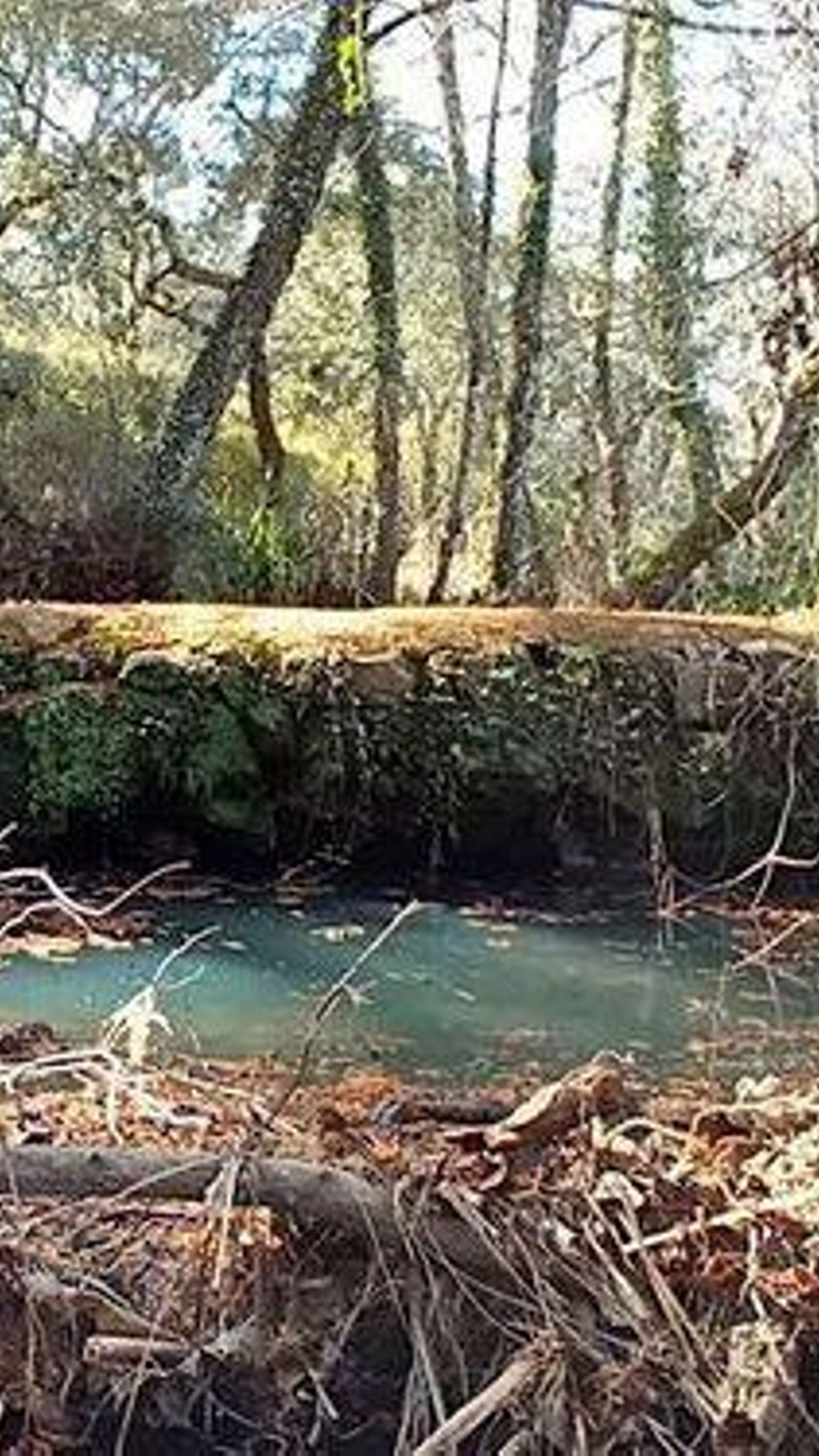 Una de las caídas en el Puente de la Rivera de Santa Ana / MANU R. MACARRO