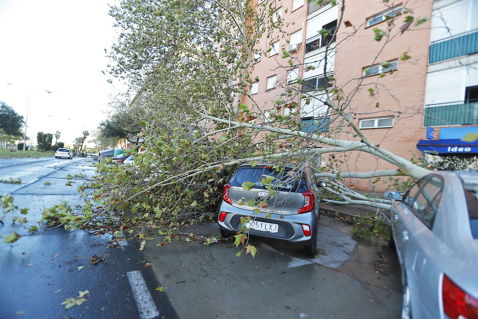 Imágenes de los destrozos ocasionados en Huelva por la Borrasca Bernard