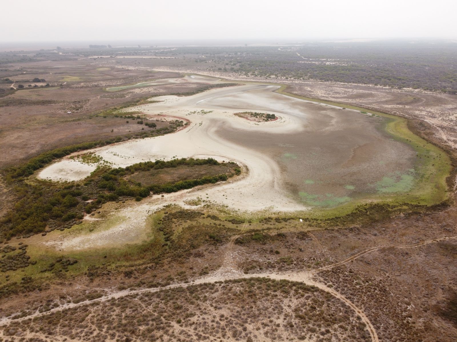 Santa Olalla, la laguna más grande de Doñana, se seca