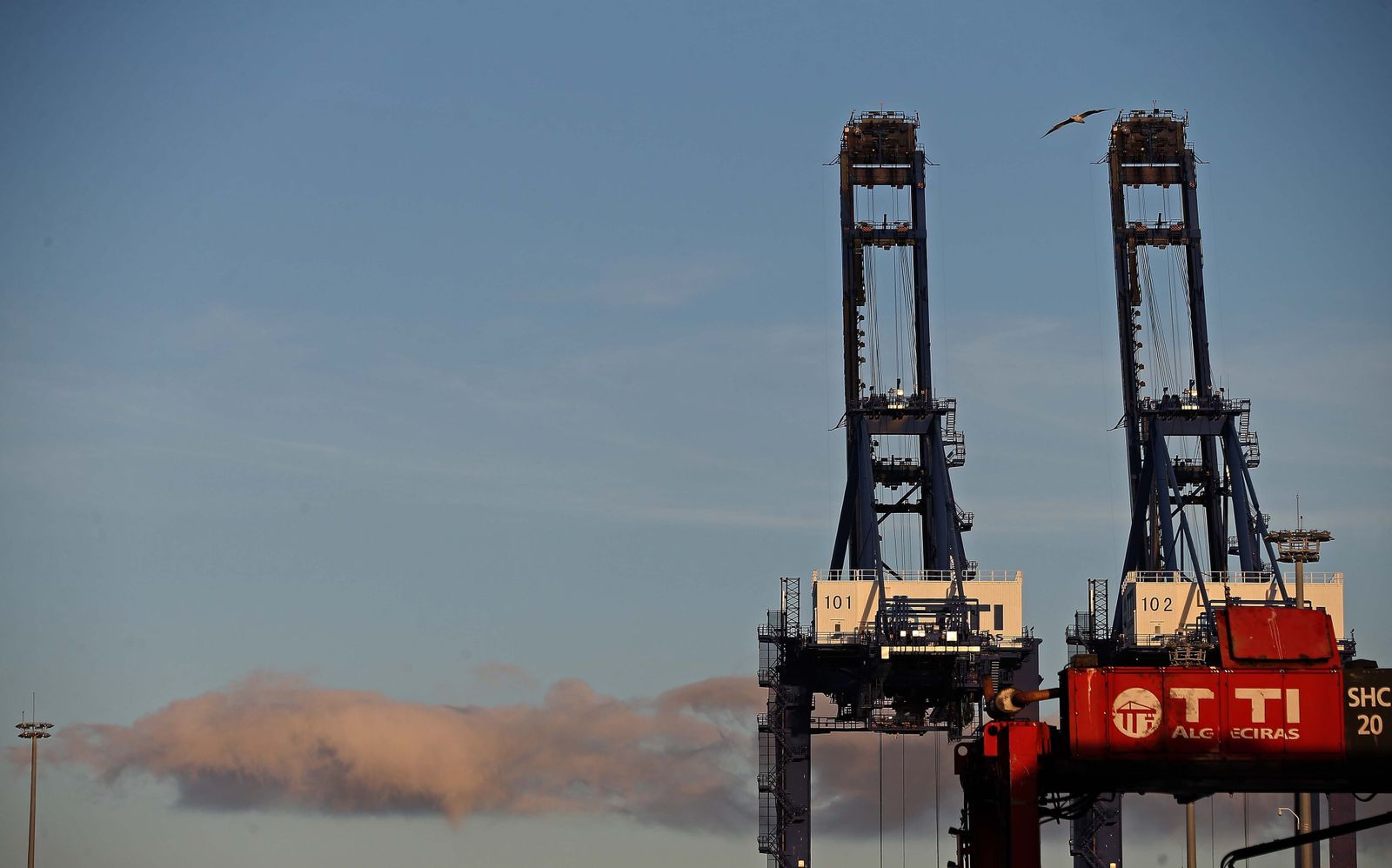 La parte alta de unas grúas del Puerto de Algeciras.