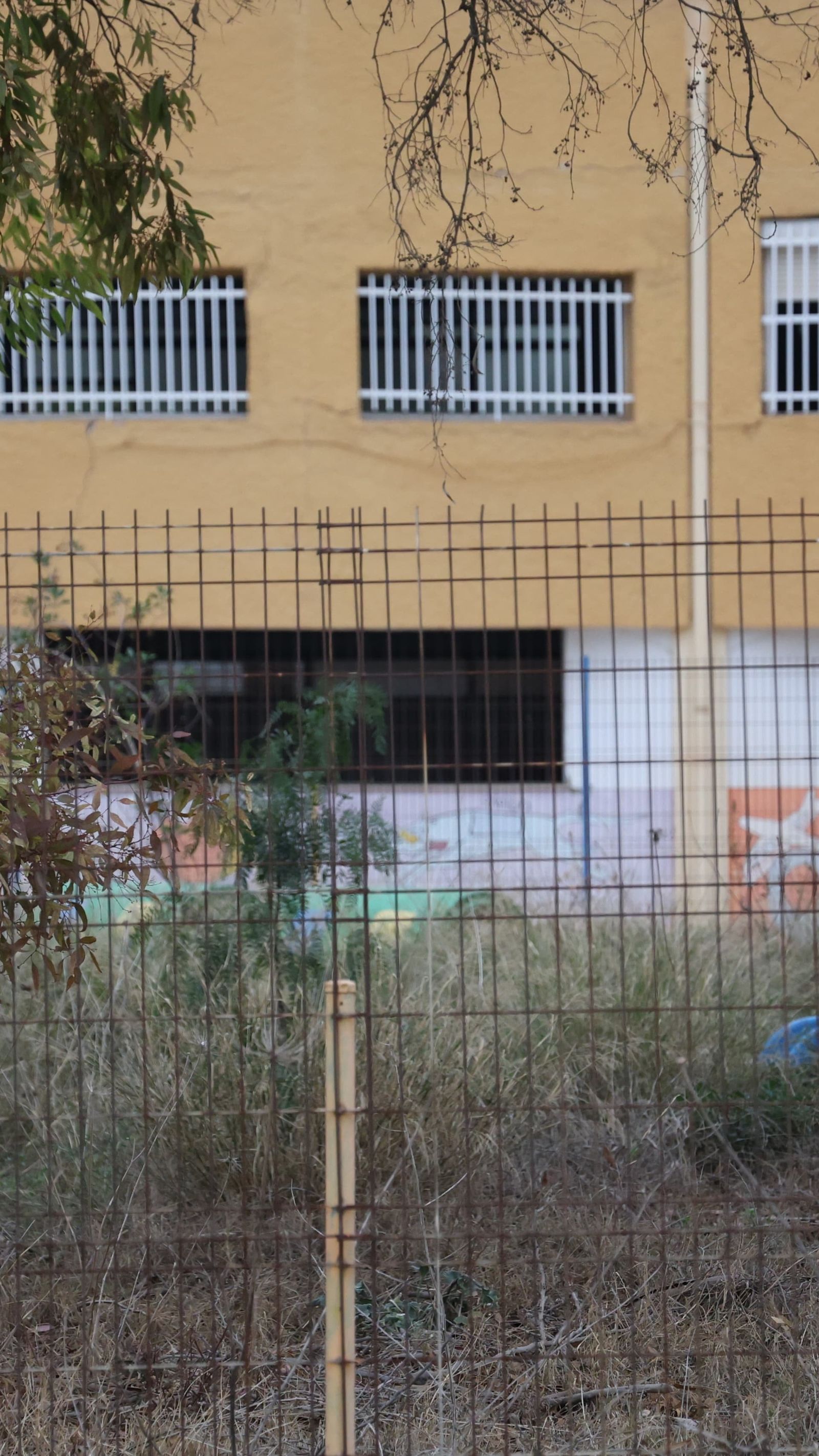 El estado actual de colegio Intelhorce.