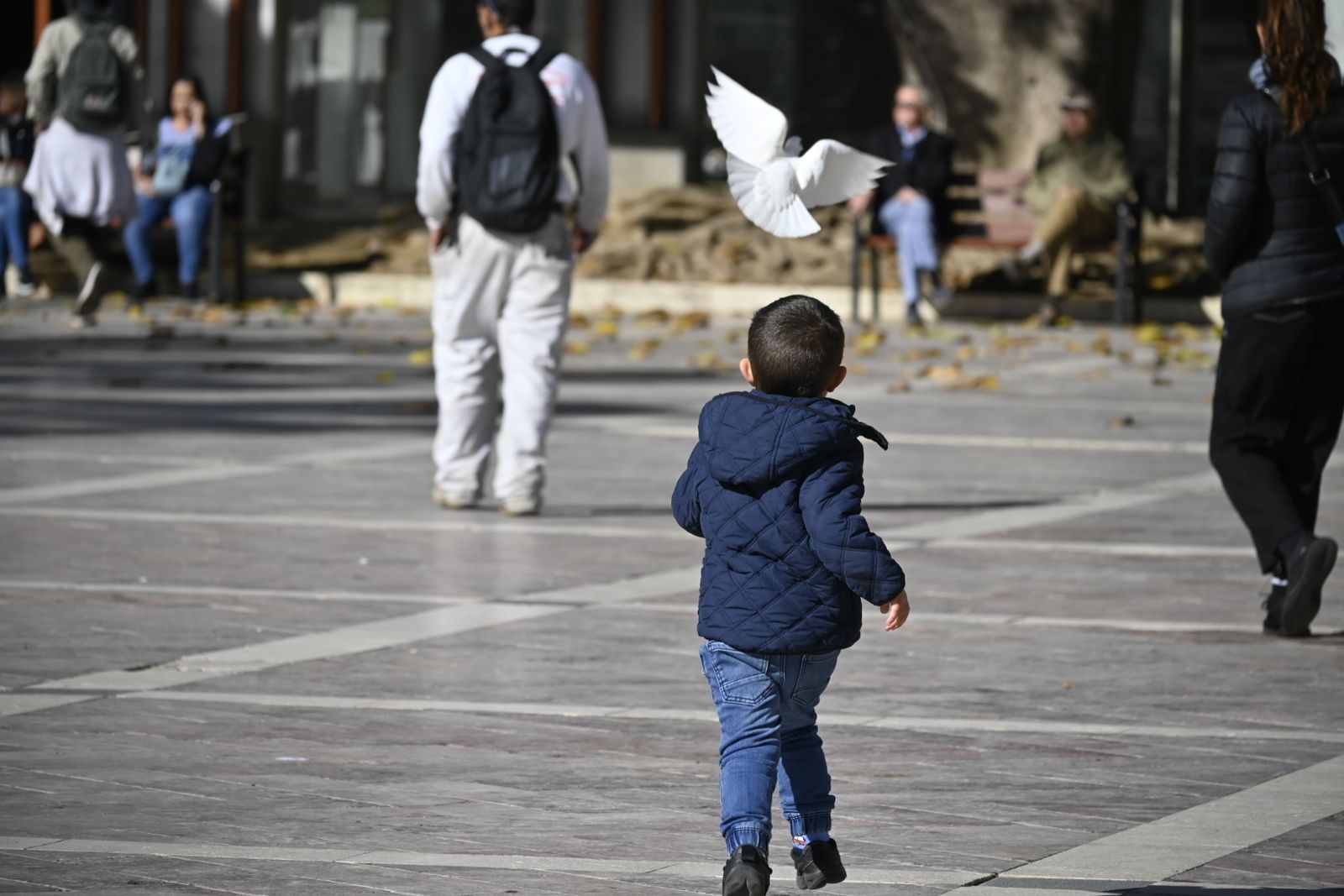 Las imágenes más destacadas del sábado 3 de febrero en Huelva