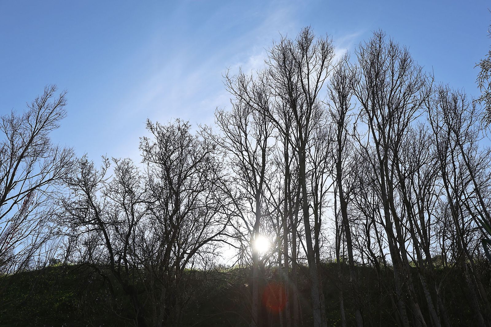 Las imágenes más destacadas del martes 30 de enero en Huelva