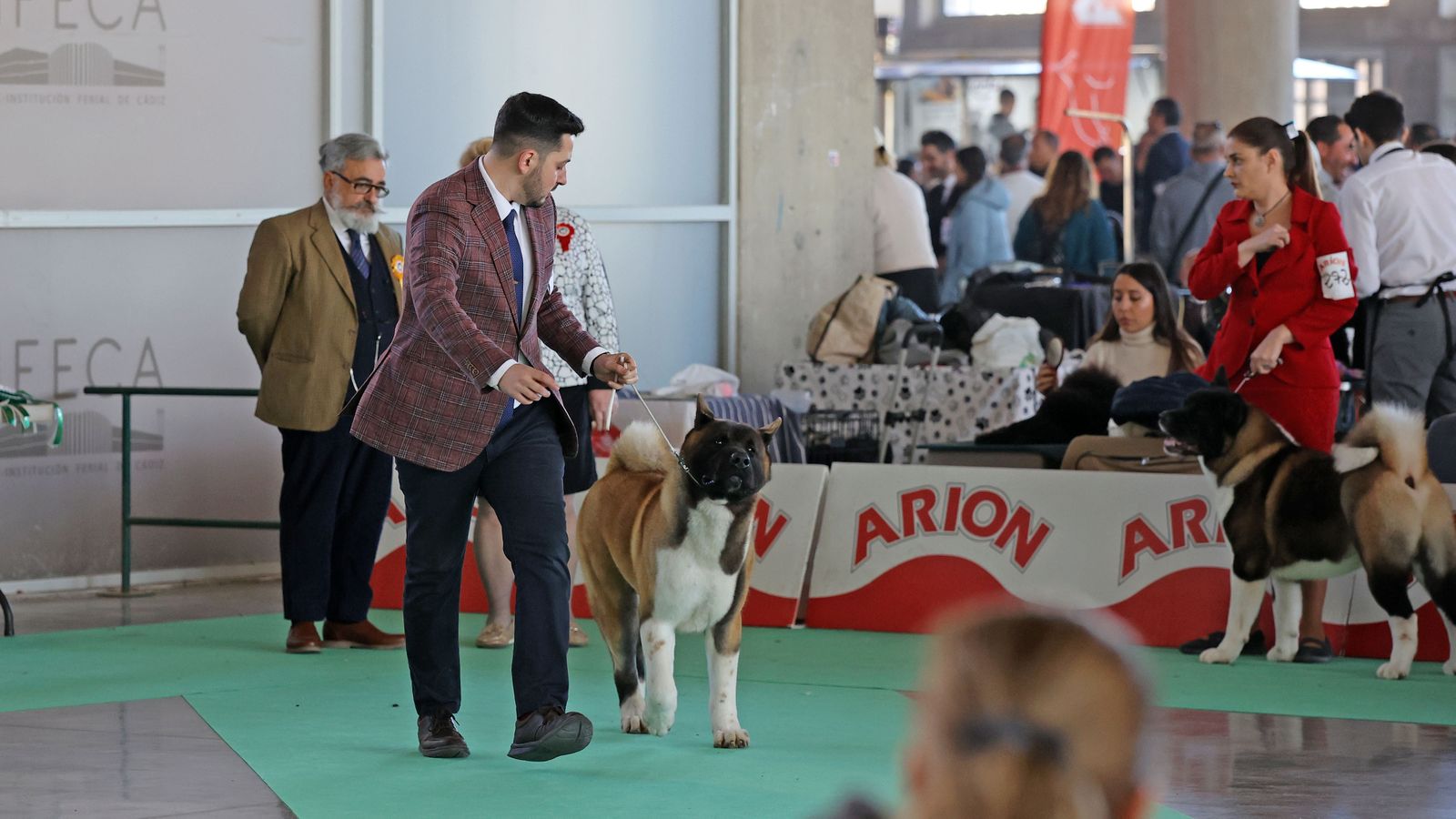 Imágenes de la 49ª edición de la Exposición Nacional Canina y la 25ª edición de la Exposición Internacional Canina en IFECA Jerez