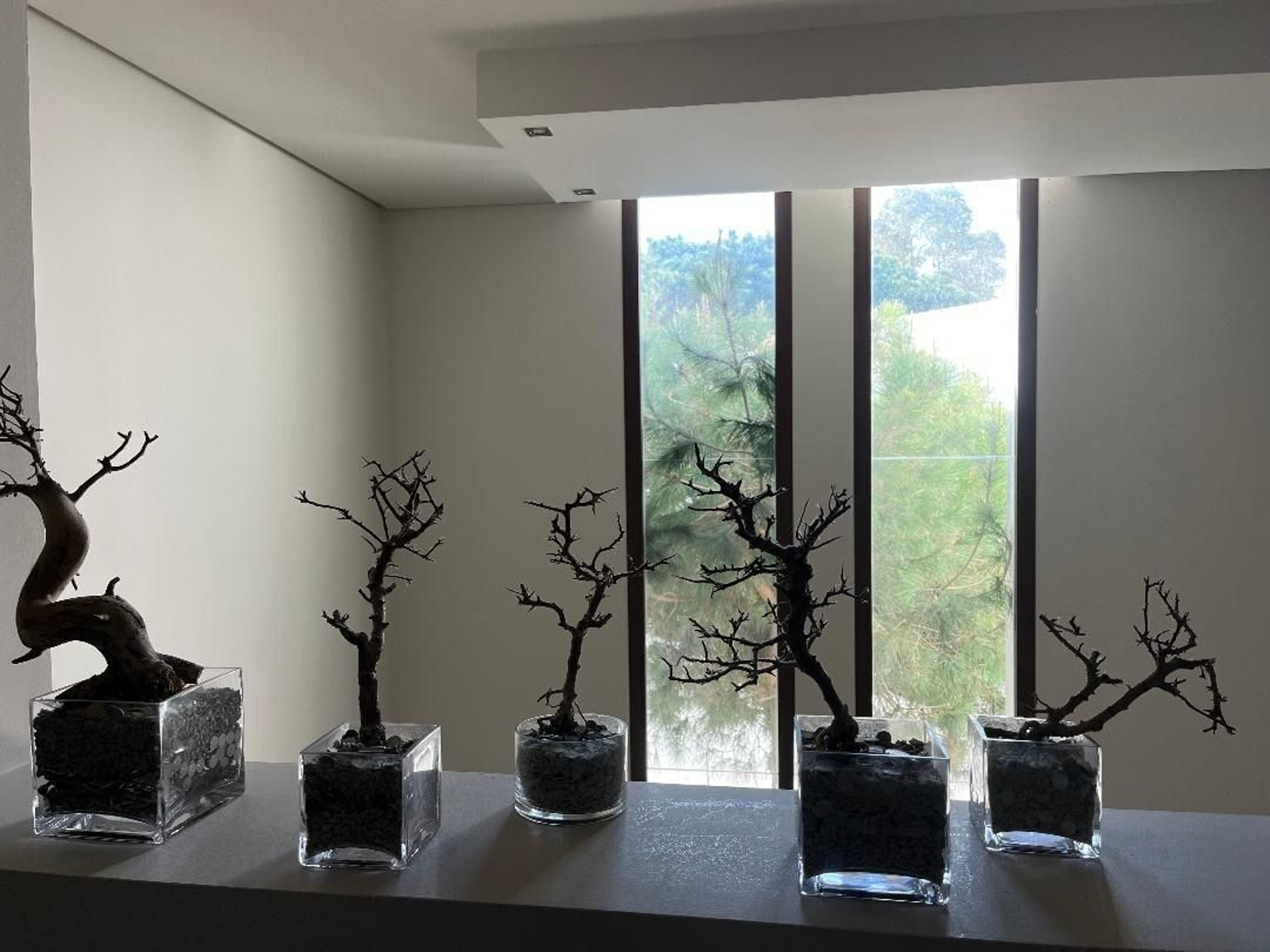 Imágenes de una casa con encanto en Rota