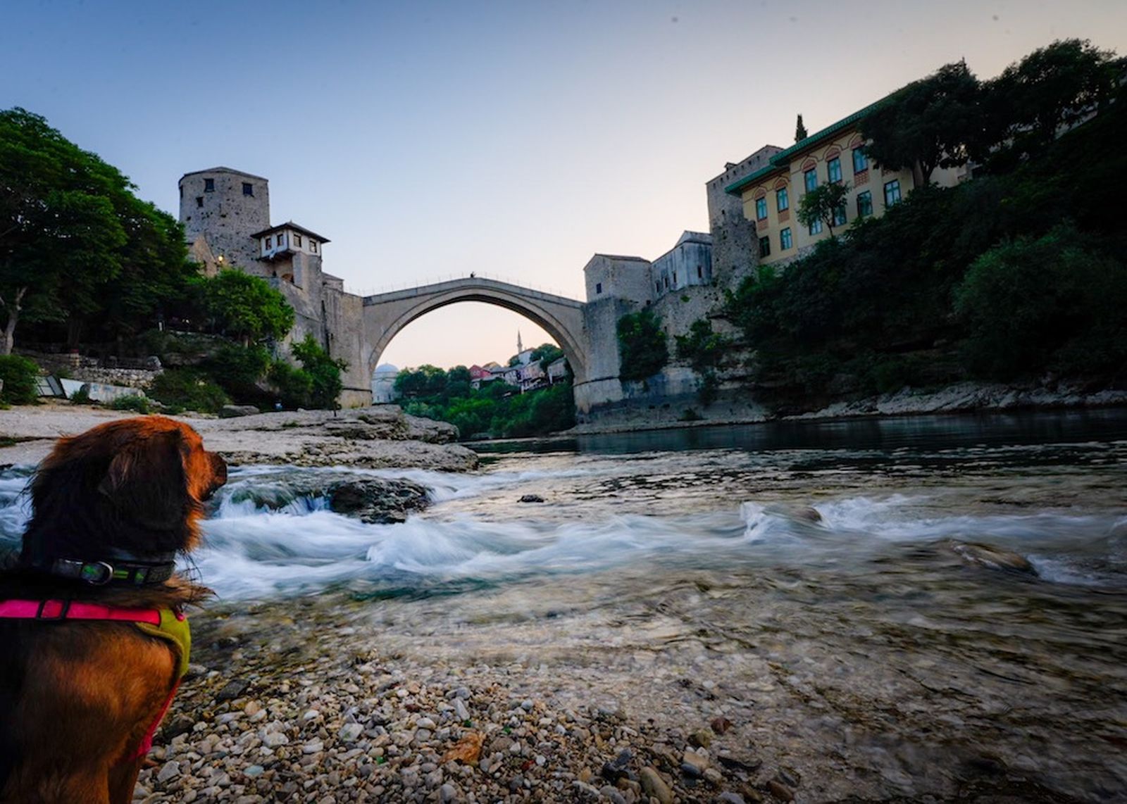 bosnia mostar puente perro