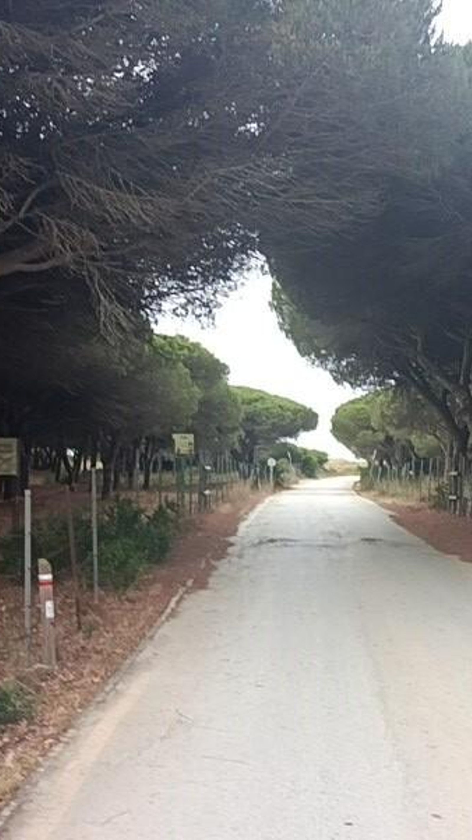 Por este carril volvemos a la playa.